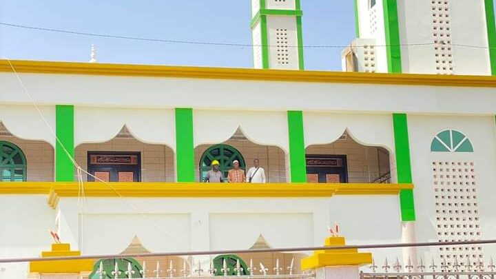 Kindia /Tabaski: Des fidèles agressés par une colonie d’abeilles en pleine prière à Bangouya