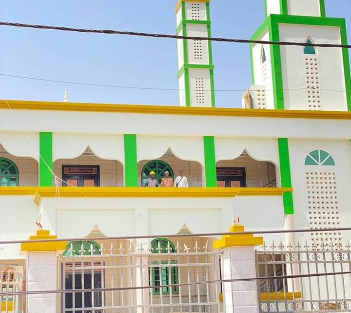 Kindia /Tabaski: Des fidèles agressés par une colonie d’abeilles en pleine prière à Bangouya