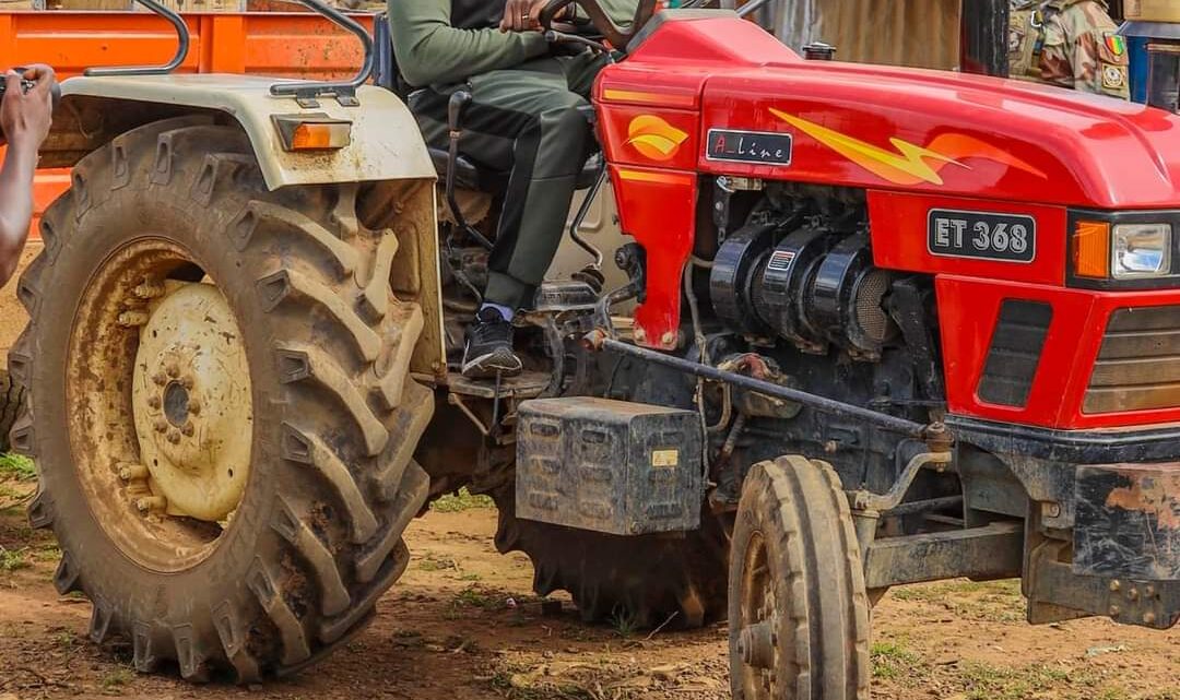 Agriculture : Mamadi DOUMBOUYA met sa récolte à la disposition des cantines scolaires