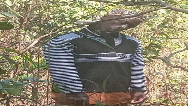 Boké : l’ancien maire d’une commune rurale s’est suicidé