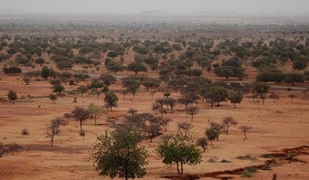 L’Union africaine étend le projet de Grande muraille verte à l’Afrique australe