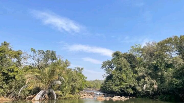 Guinée: au jardin botanique de Dubréka, les traditions inspirent la médecine moderne