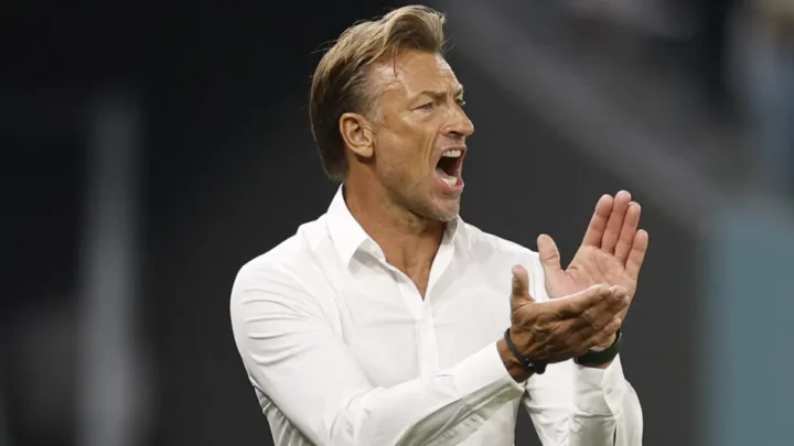 Equipe de France : Hervé Renard nommé nouveau sélectionneur des Bleues jusqu’en août 2024