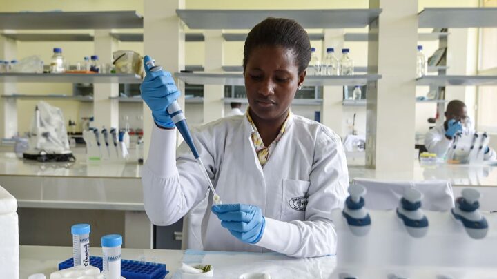 Journée du 8 mars : l’égalité des sexes stimulera la relance économique de l’Afrique