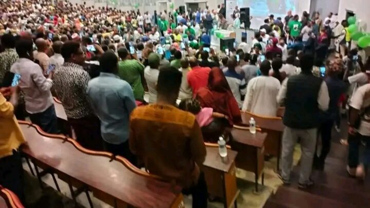 UFDG : Cellou Dalein a tenu un meeting à Bruxelles