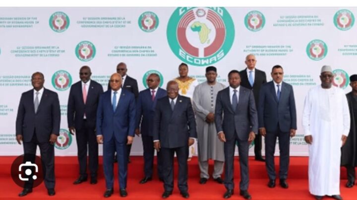 Sommet de la Cédéao: menu chargé au programme des dirigeants ouest-africains