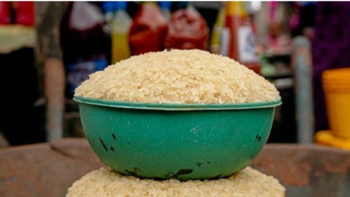 Du Sénégal au Kenya, la Corée du Sud lance le mégaprojet de « ceinture du riz »