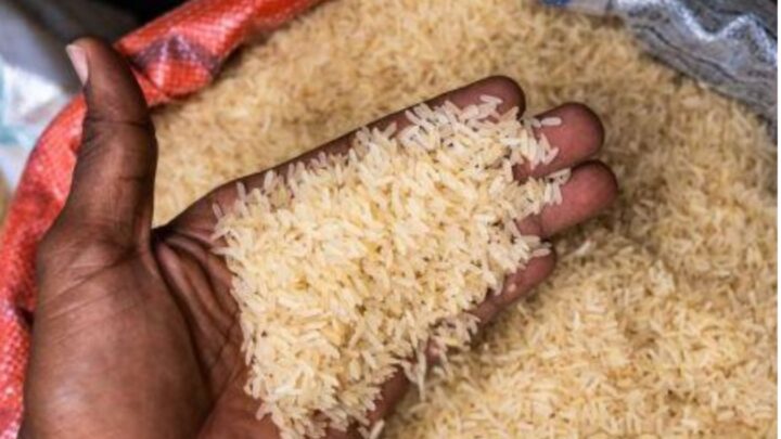 Interdiction d’exportation de riz indien :   La Guinée parmi les trois pays africains exemptés par cette mesure