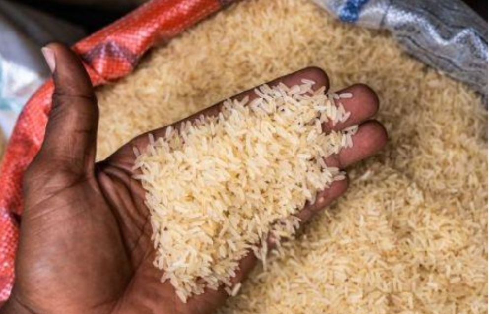 Interdiction d’exportation de riz indien :   La Guinée parmi les trois pays africains exemptés par cette mesure