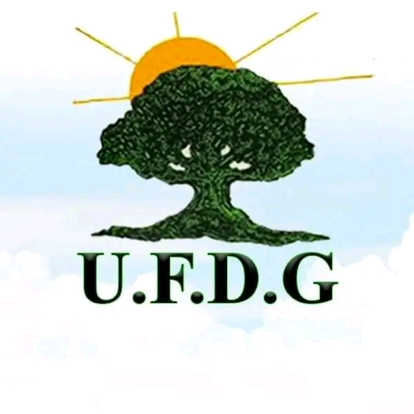 COMMUNIQUÉ DE L’UFDG SUITE AU DRAME DE KALOUM