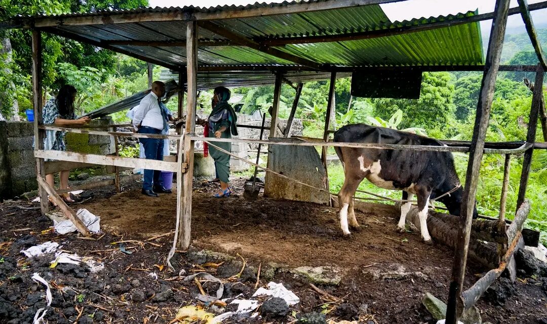 Reportage : le biodigesteur dans les foyers des Guinéens ruraux