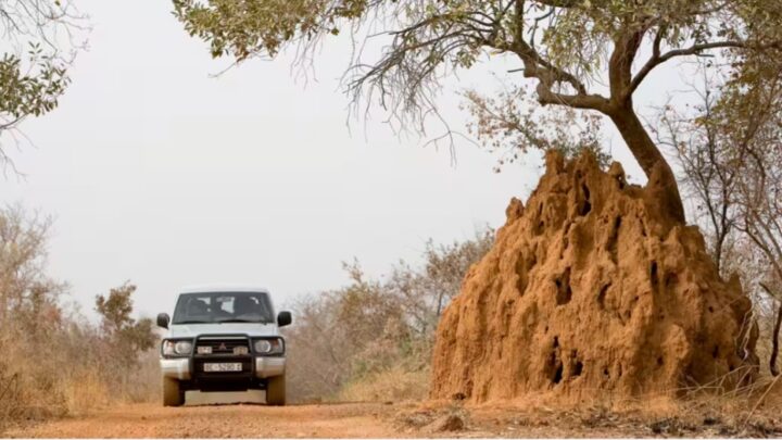 Niger : trois civils ont été tués lors d’une attaque près de Niamey