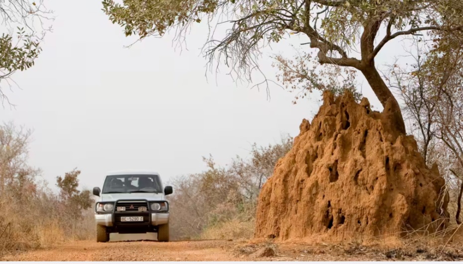 Niger : trois civils ont été tués lors d’une attaque près de Niamey