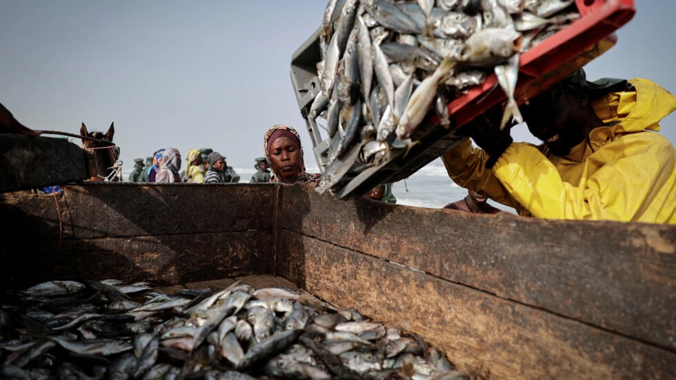 Sénégal: un audit du secteur de la pêche et des accords en vigueur demandé en conseil des ministres