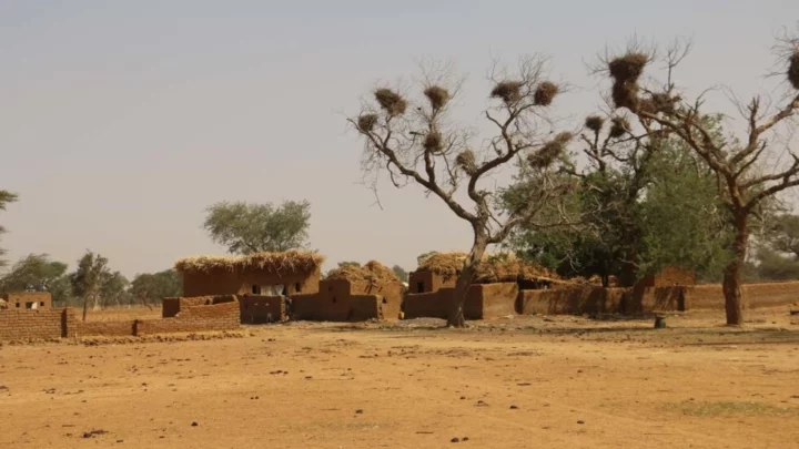 Mali: HRW dénonce les massacres commis par les jihadistes du Jnim et des chasseurs dozos dans un rapport