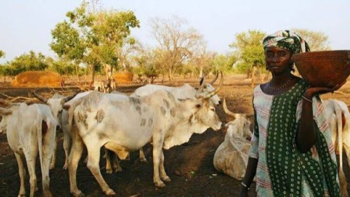 Élevage. La Guinée et le Sénégal soutiennent la filière