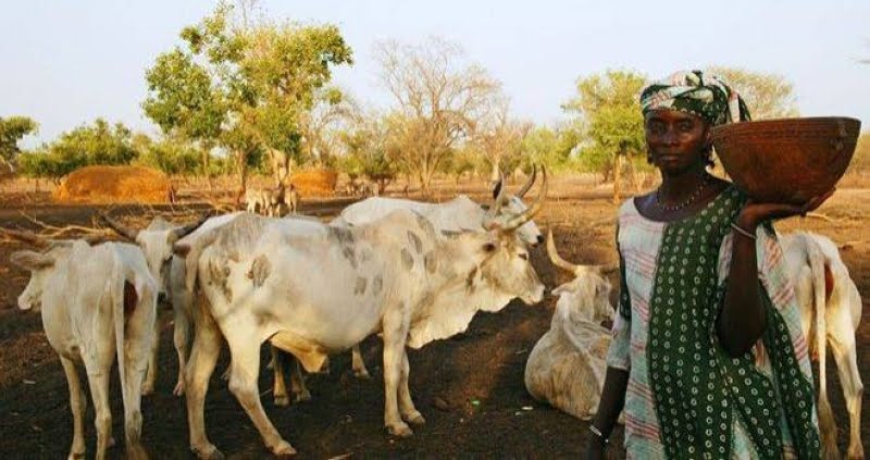 Élevage. La Guinée et le Sénégal soutiennent la filière