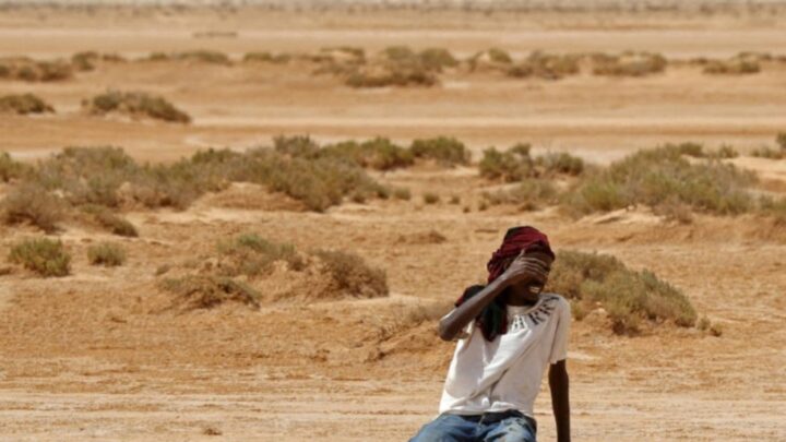 Tunisie: mise à l’abri de l’essentiel des migrants en détresse à la frontière algérienne, selon une ONG