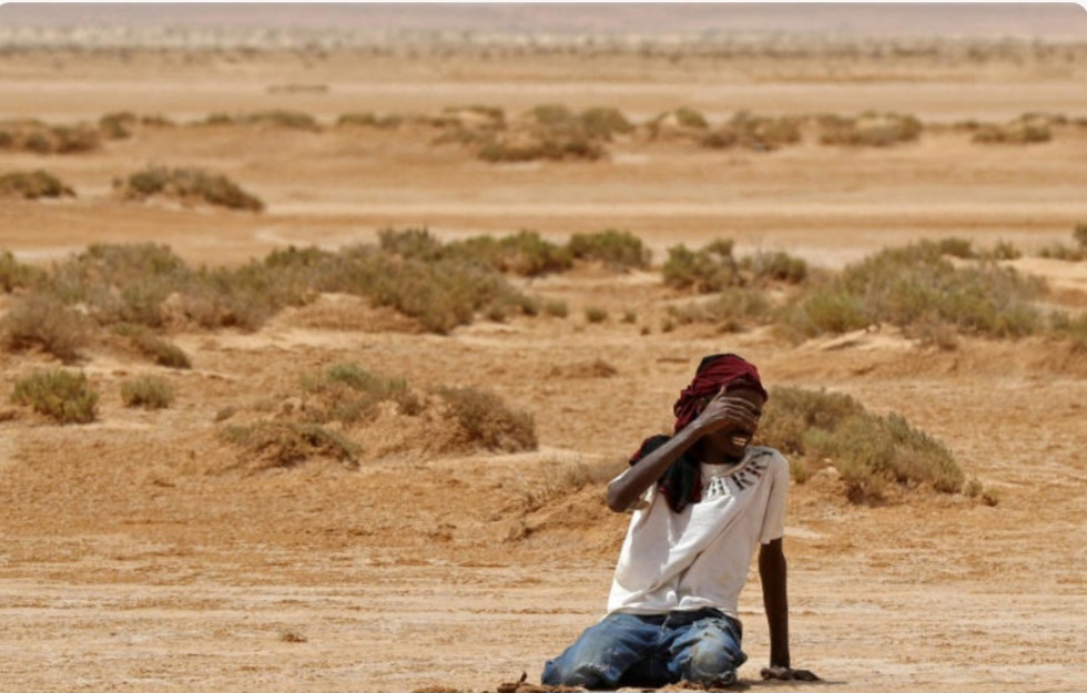 Tunisie: mise à l’abri de l’essentiel des migrants en détresse à la frontière algérienne, selon une ONG