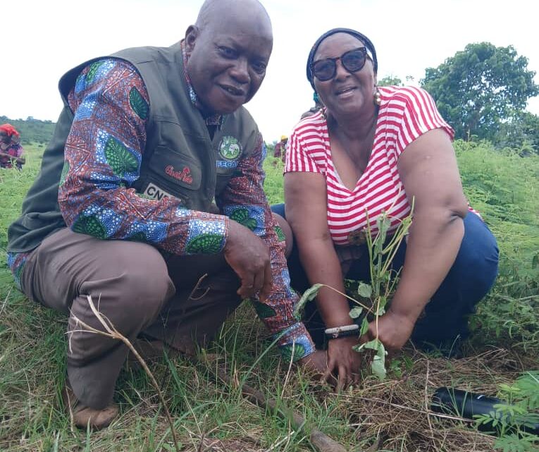 Les Réseaux AWLN-Guinée et REFAMP-Guinée dans la spirale de la campagne de reboisement 2024 reboise 15 hectares sur les berges du fleuve Konkoure à Tondon, préfecture Dubréka