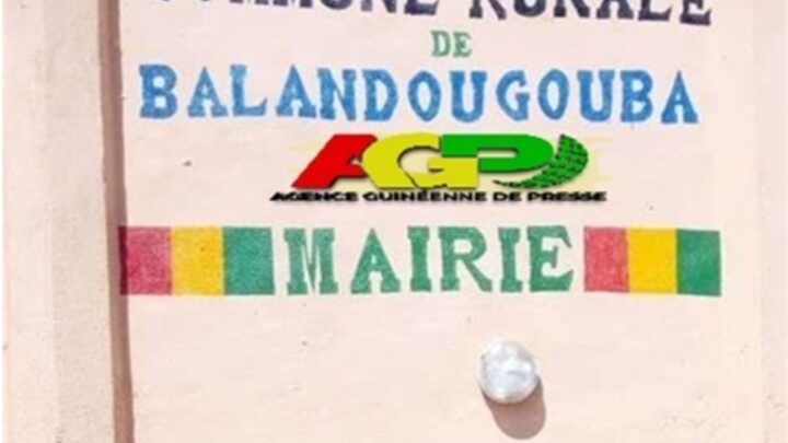 Mandiana: Un jeune de 20 ans mortellement poignardé dans un maquis à Balandougouba