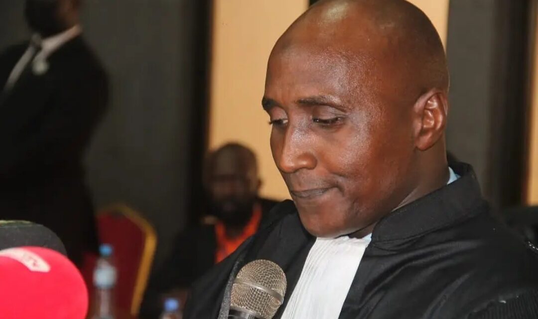 Aly Touré n&rsquo;exclut pas de lancer un mandat d&rsquo;arrêt contre Cellou Dalein Diallo