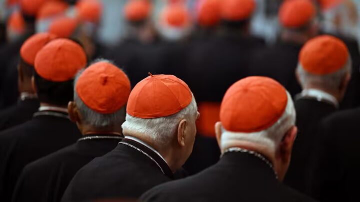 Succession du pape François : les 133 cardinaux électeurs sont arrivés à Rome pour le conclave