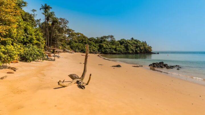 Guinée : le RENADE dénonce les impacts négatifs du projet minier Simandou sur les communautés locales