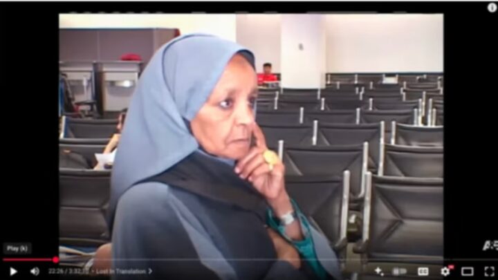 Une citoyenne « d&rsquo;un pays inconnu » à l&rsquo;ADN extraterrestre arrêtée à New York ? Décryptage d&rsquo;une vidéo virale sur TikTok