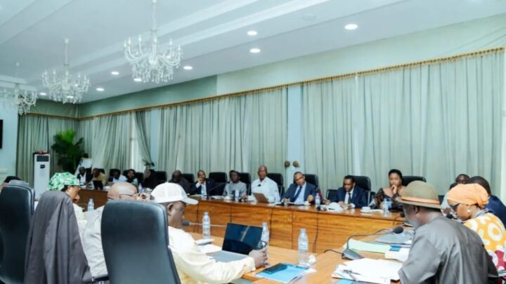 Guinée : le CNT examine le projet de loi de finances rectificative 2025 du secteur énergétique