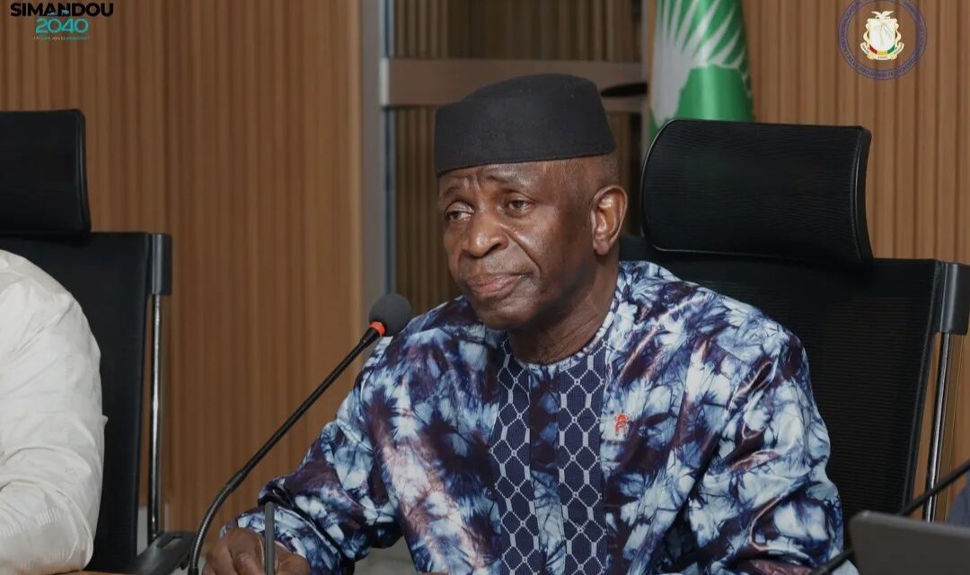 Dissolution de l’UFDG et du RPG : 40 partis politiques radiés en Guinée