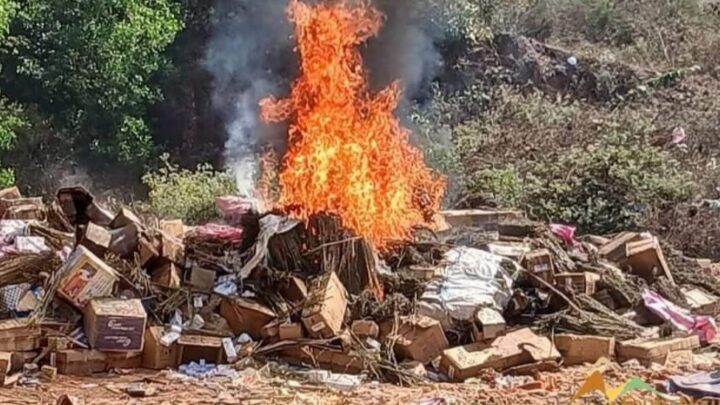 Mamou : 1 200 kg de chanvre indien et des médicaments illicites incinérés