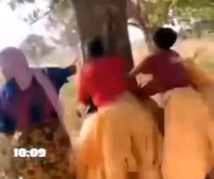 Violences contre une collégienne à Labé : les autorités éducatives et judiciaires saisies