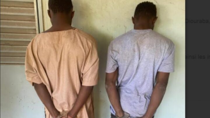 Kédougou au Sénégal : Deux Guinéens arrêtés pour trafic de médicaments et exercice illégal de la pharmacie