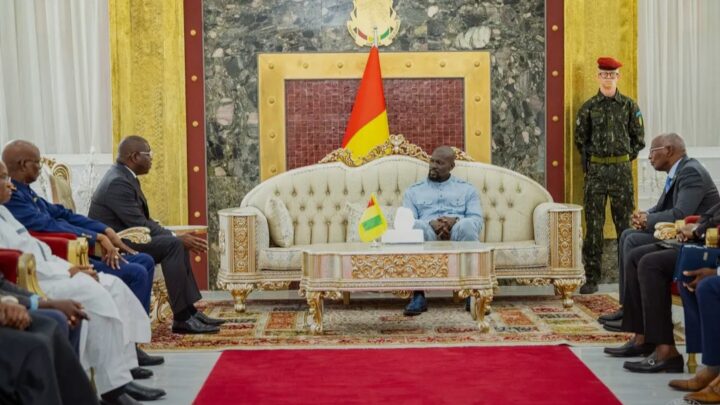 Guinée : Mamadi Doumbouya crée le Commandement des opérations spéciales (COS)