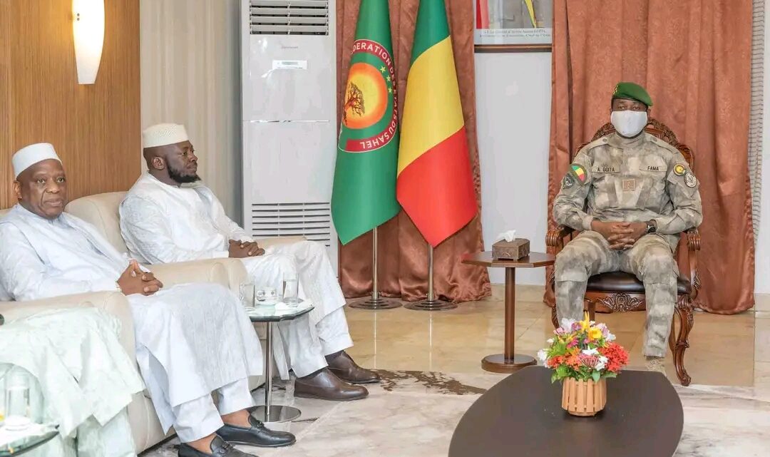 Amara Camara et Morissanda Kouyaté portent les condoléances de la Guinée au Mali