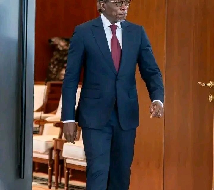 Bénin : Patrice Talon passe le relais à Romuald Wadagni