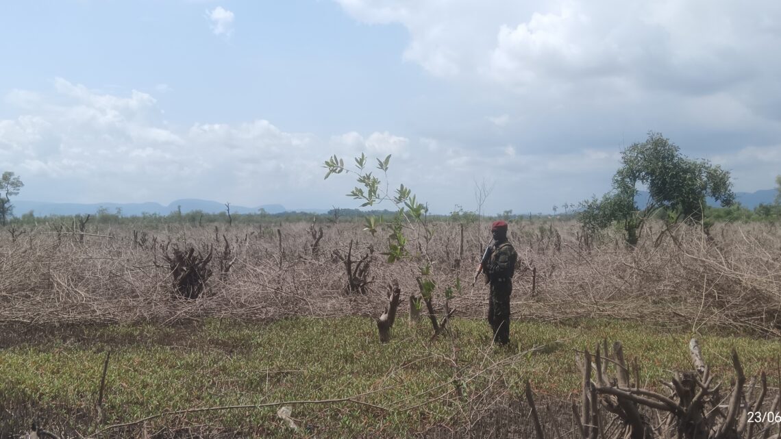 Dubréka : face aux mangroves détruites et aux terres agricoles remblayées, Charles Wright hausse le ton