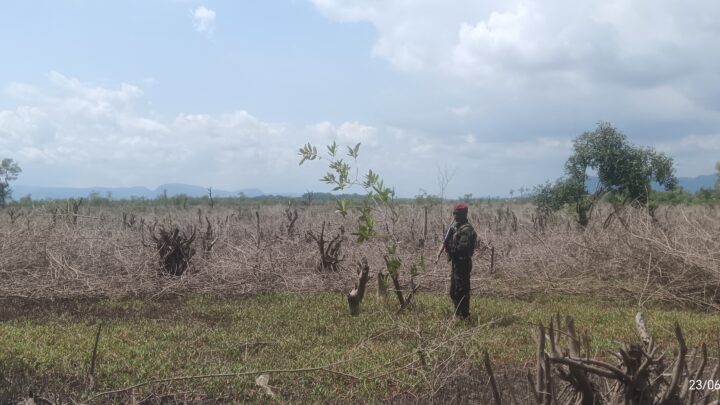 Dubréka : face aux mangroves détruites et aux terres agricoles remblayées, Charles Wright hausse le ton