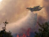 Mégafeu en Gironde , France: les flammes aux portes de Bordeaux, 42 000 hectares déjà ravagés
