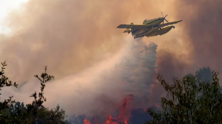 Mégafeu en Gironde , France: les flammes aux portes de Bordeaux, 42 000 hectares déjà ravagés