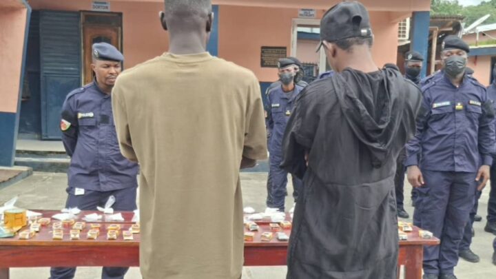Guinée : deux interpellations après la découverte de cocaïne cachée dans du thé