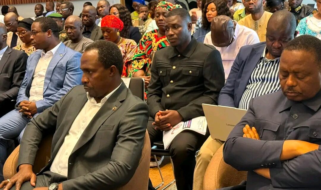 Riposte au VIH/Sida : la Guinée appelle à renforcer les financements et la coordination