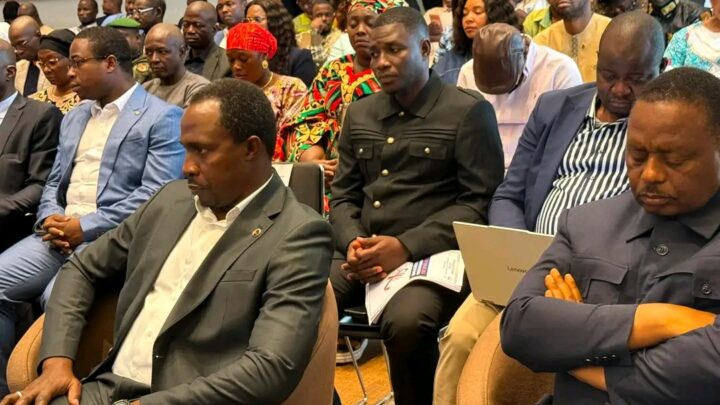 Riposte au VIH/Sida : la Guinée appelle à renforcer les financements et la coordination