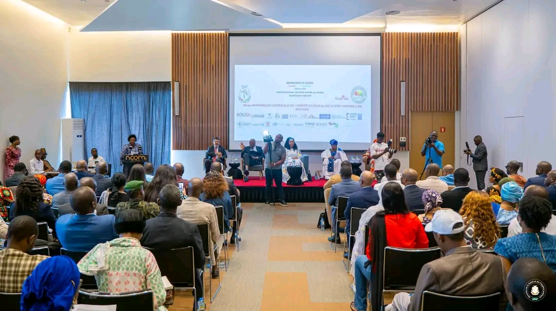 Riposte au VIH/Sida : la Guinée appelle à renforcer les financements et la coordination