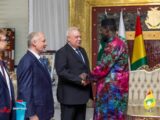 Guinée : RUSAL veut investir dans la transformation des ressources minières avec Simandou 2040