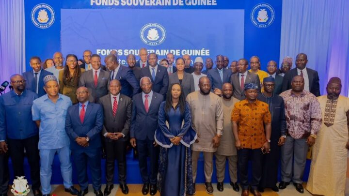 Fonds souverain de Guinée : les travaux préparatoires restitués