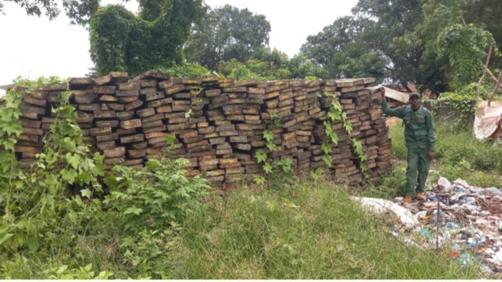 Boké et Kindia: plus de 4000 pièces de bois saisies lors d&rsquo;une patrouille mixte