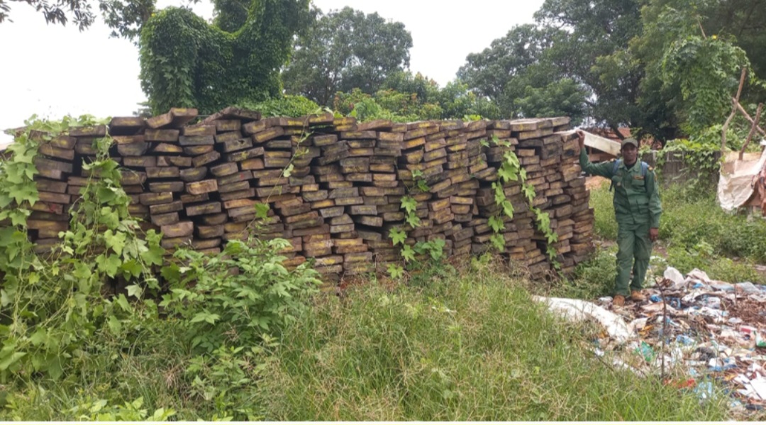 Boké et Kindia: plus de 4000 pièces de bois saisies lors d&rsquo;une patrouille mixte